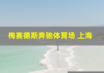 梅赛德斯奔驰体育场 上海